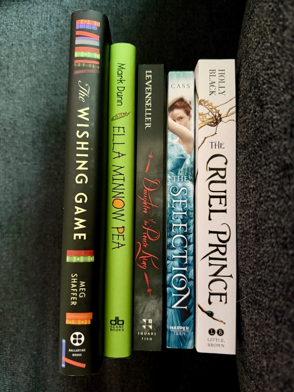 YA Fiction Book Bundle